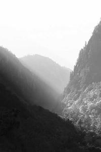 To Kill a Mockingbird